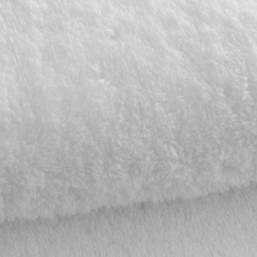 6 Brazilian Nopal Princess Pass